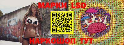 PSILOCYBIN Гатчина