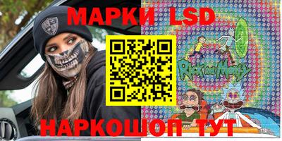 PSILOCYBIN Гатчина