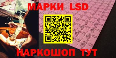 PSILOCYBIN Гатчина